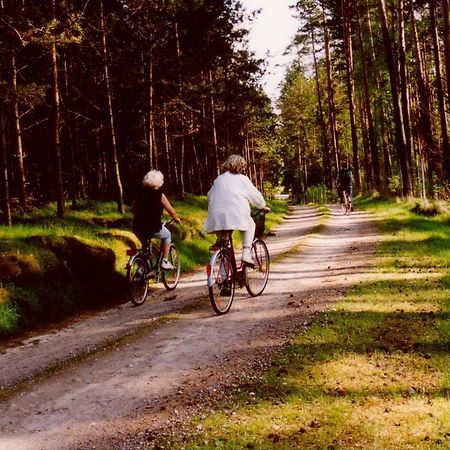 Kleine Auszeit - Natur Und Erholung In Mecklenburg Reimershagen المظهر الخارجي الصورة