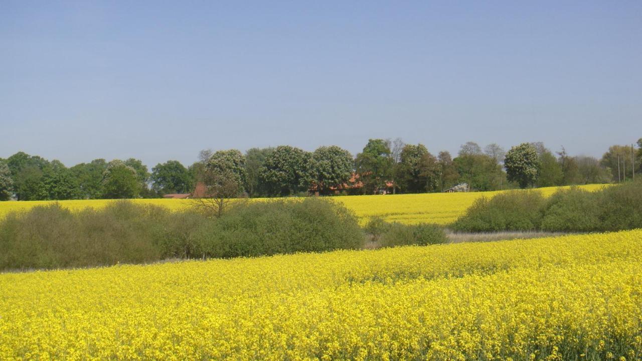 Kleine Auszeit - Natur Und Erholung In Mecklenburg Reimershagen المظهر الخارجي الصورة
